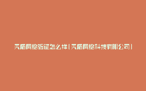 天盾网络验证怎么样(天盾网络科技有限公司)