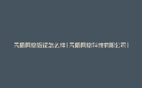 天盾网络验证怎么样(天盾网络科技有限公司)