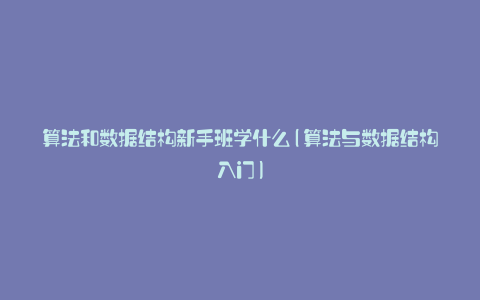 算法和数据结构新手班学什么(算法与数据结构入门)