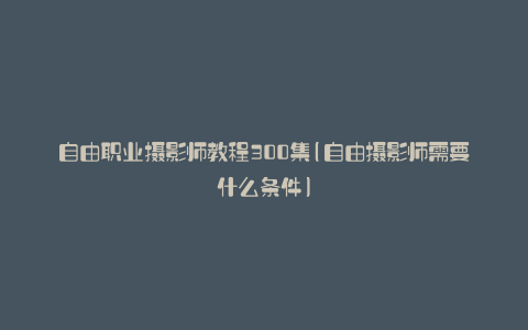 自由职业摄影师教程300集(自由摄影师需要什么条件)