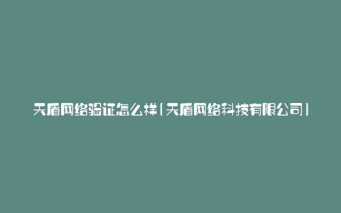 天盾网络验证怎么样(天盾网络科技有限公司)