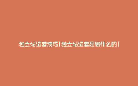 独立站运营技巧(独立站运营是做什么的)