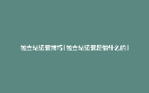 独立站运营技巧(独立站运营是做什么的)