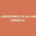 浪子ds网仿彩虹源码多少钱(浪子ds网仿彩虹源码是什么)