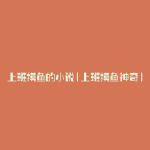 上班摸鱼的小说(上班摸鱼神奇)