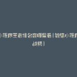 微信小程序王者排名在哪里看(微信小程序王者战绩)