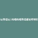 b站录播站(哔哩哔哩录播姬如何使用)