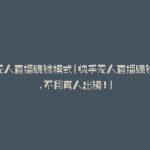 快手无人直播赚钱模式(快手无人直播赚钱技术,不用真人出镜!)