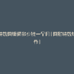 一般特效剪辑师多少钱一个月(剪影特效软件制作)