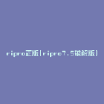 ripro正版(ripro7.5破解版)