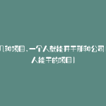 介绍几种项目,一个人就能开干那种公司(一个人能干的项目)
