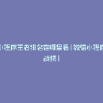微信小程序王者排名在哪里看(微信小程序王者战绩)