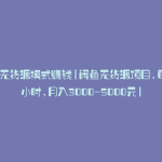 闲鱼无货源模式赚钱(闲鱼无货源项目,每天2小时,月入3000-5000元)