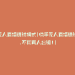 快手无人直播赚钱模式(快手无人直播赚钱技术,不用真人出镜!)