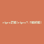 ripro正版(ripro7.5破解版)