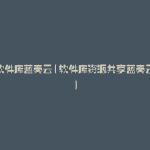 开源软件库蓝奏云(软件库资源共享蓝奏云网址)