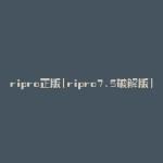 ripro正版(ripro7.5破解版)