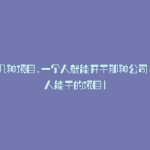 介绍几种项目,一个人就能开干那种公司(一个人能干的项目)