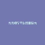 未来哪个平台流量会大