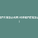 快手磁力引擎怎么收费(快手磁力巨星怎么接单)