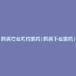 网课交单系统源码(网课下单源码)