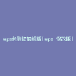 wps免登陆破解版(wps 修改版)