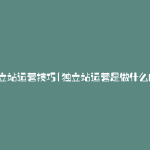 独立站运营技巧(独立站运营是做什么的)