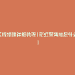彩虹系统搭建详细教程(彩虹聚集地是什么意思)