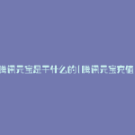 腾讯元宝是干什么的(腾讯元宝充值)