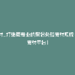 源支付_打造更专业的聚合免签支付系统(开源支付平台)