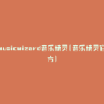 musicwizard音乐精灵(音乐精灵官方)