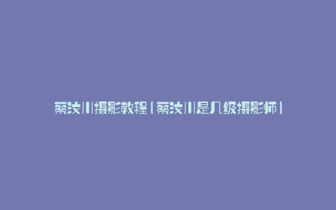 蔡汶川摄影教程(蔡汶川是几级摄影师)