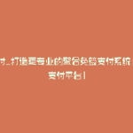 源支付_打造更专业的聚合免签支付系统(开源支付平台)