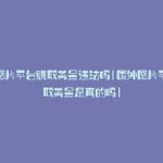 国外图片平台赚取美金违法吗(国外图片平台赚取美金是真的吗)
