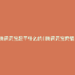 腾讯元宝是干什么的(腾讯元宝充值)