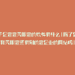 类似于企查查天眼查的软件有什么(除了企查查和天眼查还有别的查企业的网站吗)