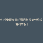 源支付_打造更专业的聚合免签支付系统(开源支付平台)