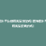国外图片平台赚取美金违法吗(国外图片平台赚取美金是真的吗)