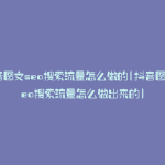 抖音图文seo搜索流量怎么做的(抖音图文seo搜索流量怎么做出来的)