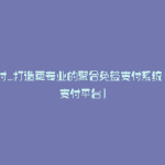 源支付_打造更专业的聚合免签支付系统(开源支付平台)