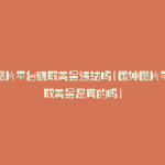 国外图片平台赚取美金违法吗(国外图片平台赚取美金是真的吗)