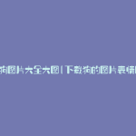 下载狗图片大全大图(下载狗的图片表情图片)