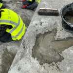 英国历史上最大的！采石场发现200多个侏罗纪恐龙脚印