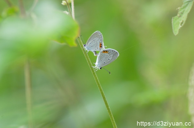 1771824819-3952273f3f6ac1f