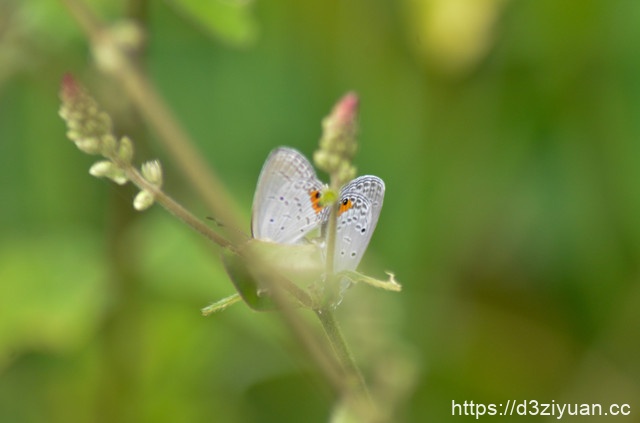 1771824832-1d04f7c726a211a