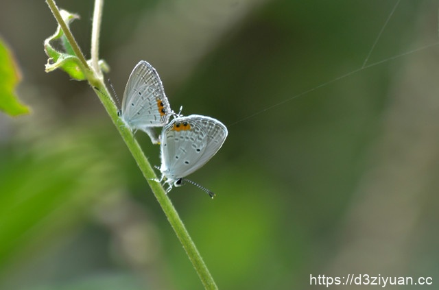 1771824845-90c968af7123326