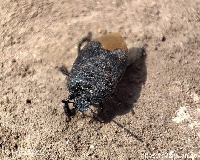 1771924678-2782a9131c83629