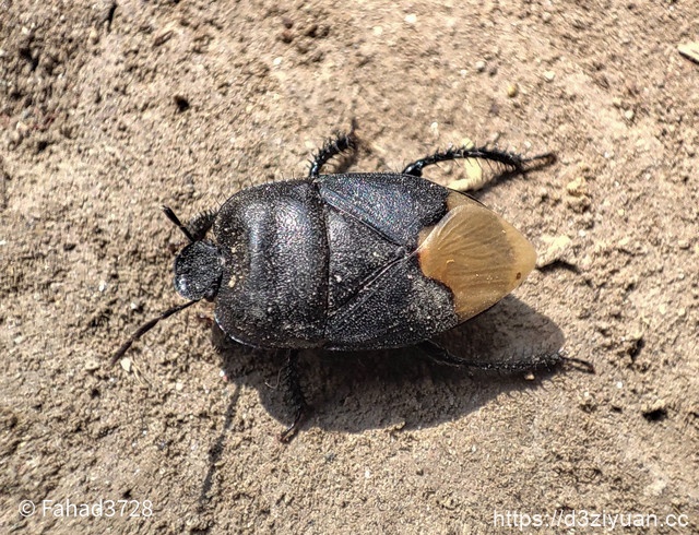 1771924691-ae2387ad6ef4d99