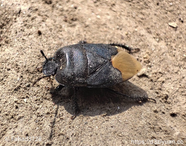 1771924704-591406fda64d613