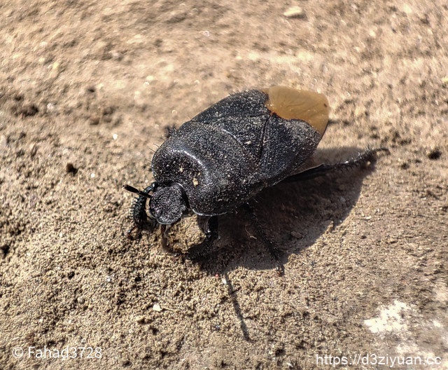 1771924717-14aea49bb42e599